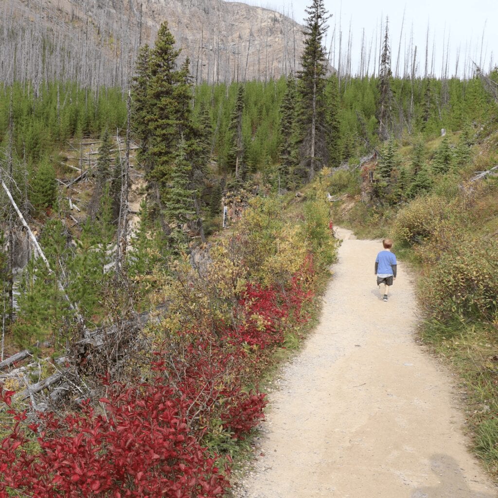 marble-canyon-with-kids-2