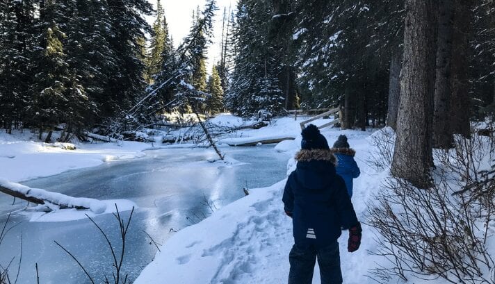fenland-trail-family-adventures-in-the-canadian-rockies