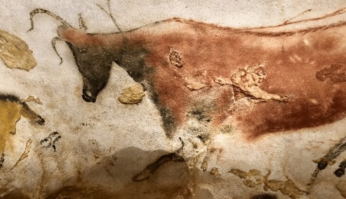 A picture of colorful and detailed ancient cave paintings of animals and symbols on the walls of Lascaux in France.