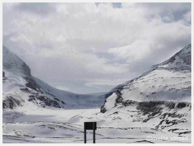 drive-icefields-parkway