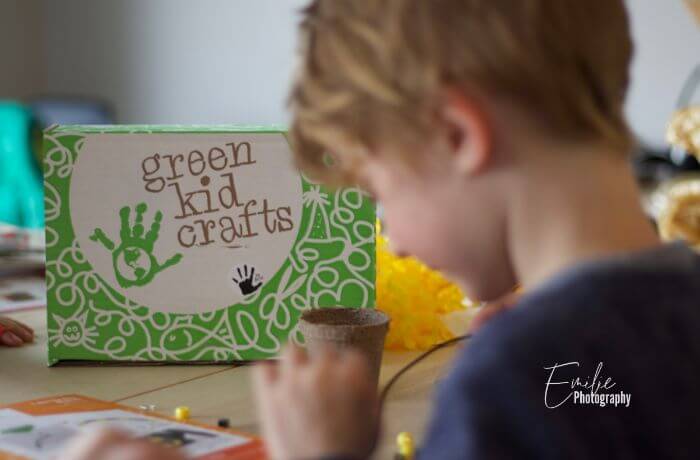 green craft subscription box