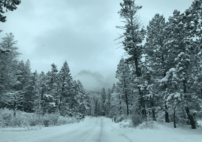 winter-road-trip