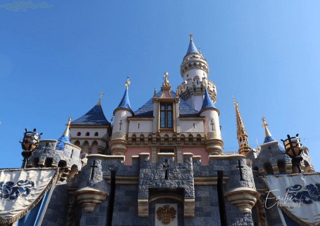 The majestic castle in Disneyland with toddlers is like straight out of a fairy tale, with its magical vibes and stunning architecture that'll leave you in awe.
