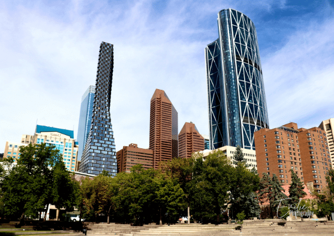 Calgary's urban landscape, a blend of modern architecture and natural beauty.