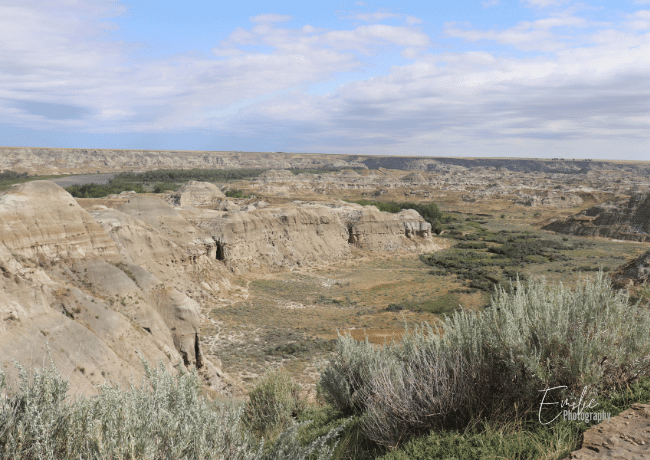 Embark on a prehistoric adventure at Dinosaur Provincial Park, where ancient secrets come to life amidst the stunning badlands landscape, allowing visitors to explore fossil-rich terrain and discover the awe-inspiring remnants of the dinosaurs that once roamed the Earth.