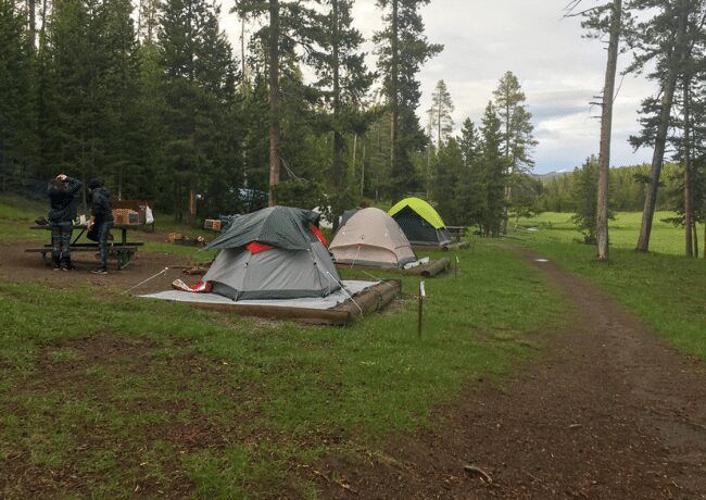 Pitched our tents and settled into Norris Campground, surrounded by towering trees and calming nature. It's the perfect spot for a cozy camping adventure in Yellowstone.