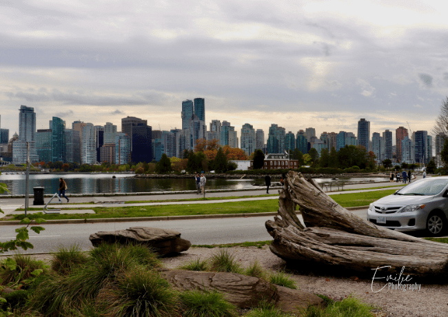 Marvel at the breathtaking panoramic view of Vancouver's stunning city, framed by lush greenery and sparkling waters, as you stand in Stanley Park, a nature-lovers paradise in the heart of the city.
