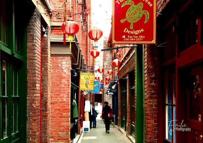 Step into the vibrant cultural tapestry of Victoria's Chinatown, with its narrow cobblestone streets and vibrant storefronts. It immerses you in a world of history, tradition, and enticing flavors, offering a captivating glimpse into the city's multicultural heritage.