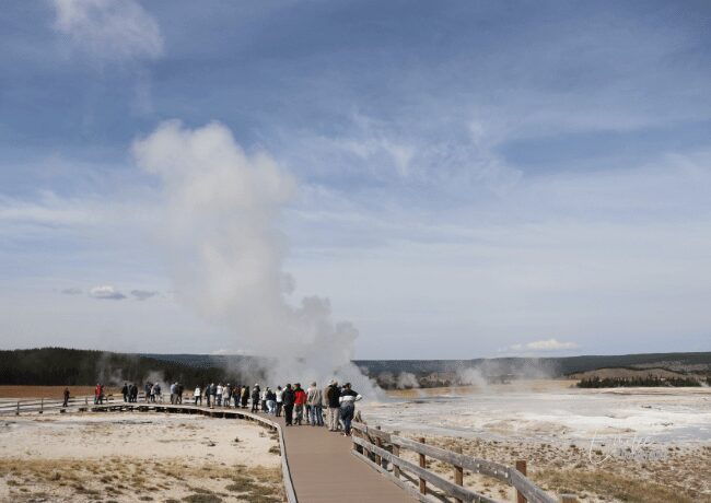 The geyser area, where tourists gather to witness the mesmerizing spectacle of nature's geothermal power.