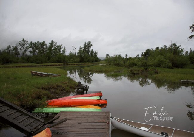 columbia-outpost-wetlands (1)