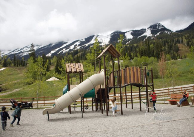 golden-bc-playgrounds (1)