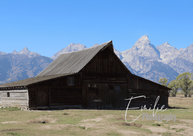 Embark on a journey through history and rustic charm at Grand Teton's Mormon Row, where pioneer homesteads tell tales of resilience and the beauty of the land.