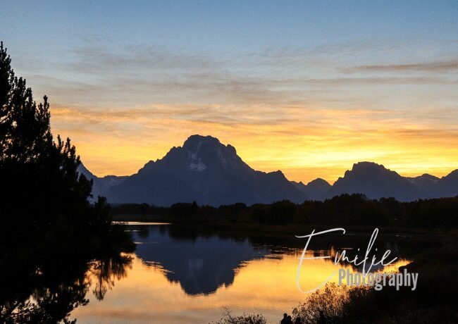 Discover the tranquil beauty of the Grand Teton Oxbow, where nature's artistry unfolds against the backdrop of majestic peaks.