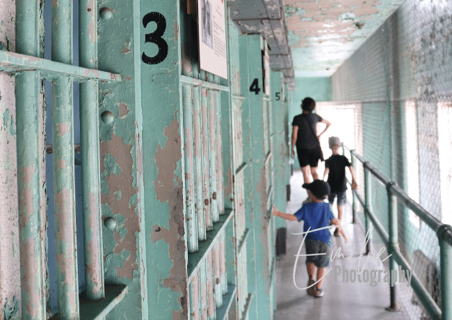 Step back in time and unlock the stories held within the walls of the Old Idaho Penitentiary. 