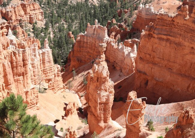 Discover the awe-inspiring splendor of Bryce Canyon National Park, a realm where nature's artistic hand has carved a breathtaking masterpiece.