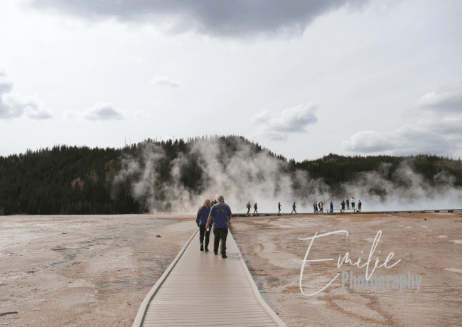 Step into a world of untamed beauty and surreal landscapes as you traverse the Yellowstone Boardwalk. 