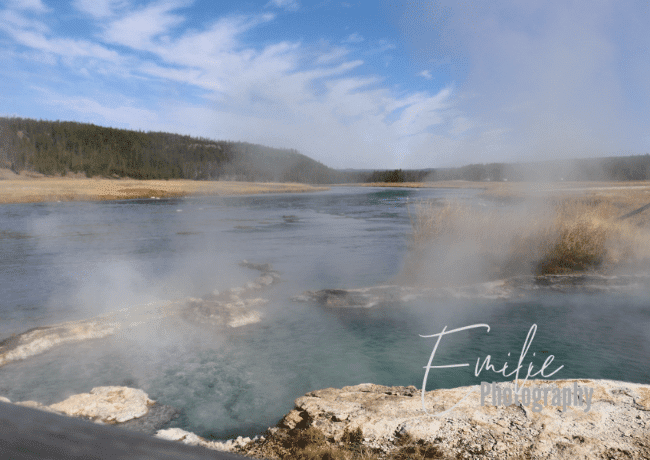 Immerse yourself in the captivating thermal wonders of Yellowstone's hotsprings, where the Earth's inner energies create a surreal display. of colors and steam