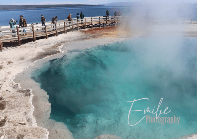 Unveil the mesmerizing magic of Yellowstone's hotsprings, where the Earth's fiery heart meets the surface in a symphony of steam and color. 