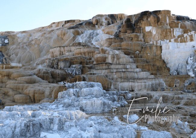 Embark on a surreal journey through Mammoth Hot Springs, where the Earth's geothermal forces create a masterpiece of terraces and travertine formations.