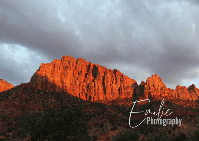 Enter a realm of enchantment at Zion National Park, where towering sandstone cliffs and lush valleys form a symphony of natural wonders.