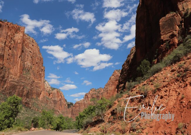 Zion National Park is a sanctuary of discovery and a testament to nature's grandeur.