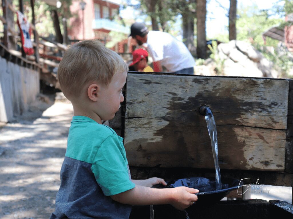 We visited Gold rush towns in California, and my kid is enjoying  panning of gold.