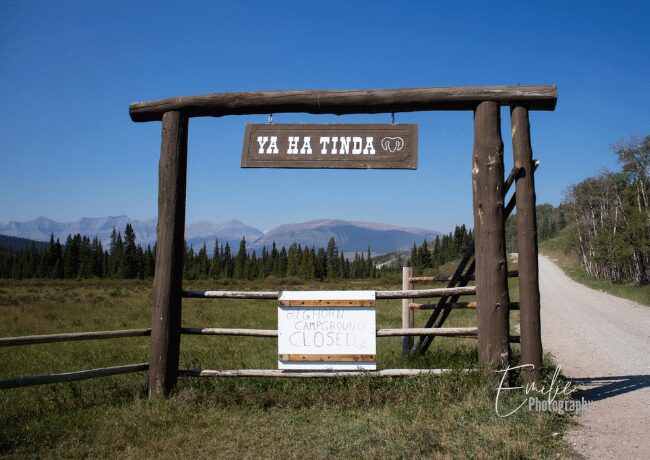 Nestled in the heart of the Canadian Rockies, Ya-Ha-Tinda Ranch is a pristine wilderness retreat where rugged landscapes meet rustic charm. This historic working ranch offers a unique blend of outdoor adventure, wildlife encounters, and a glimpse into cowboy culture. 