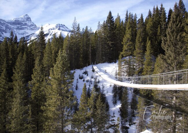 blackshale creek suspension bridge trail winter