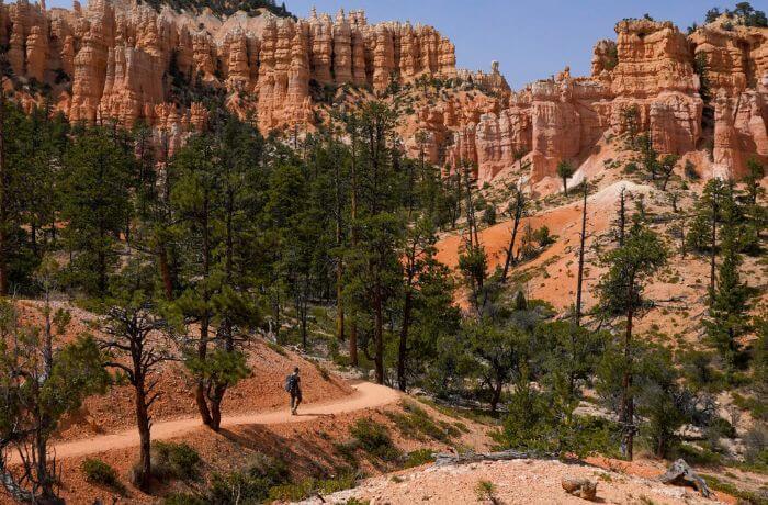 Hiking Trail in Bryce Canyon NP