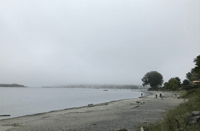 Willow Beach in Victoria, BC, transforms into a tranquil oasis on rainy days. As the gentle drizzle kisses the emerald shoreline, the lush trees provide a natural umbrella, creating a serene and cozy atmosphere.