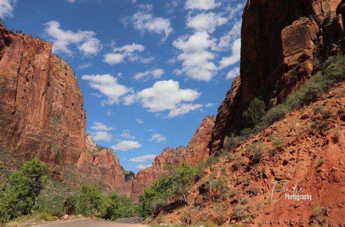 where to stay in zion national park