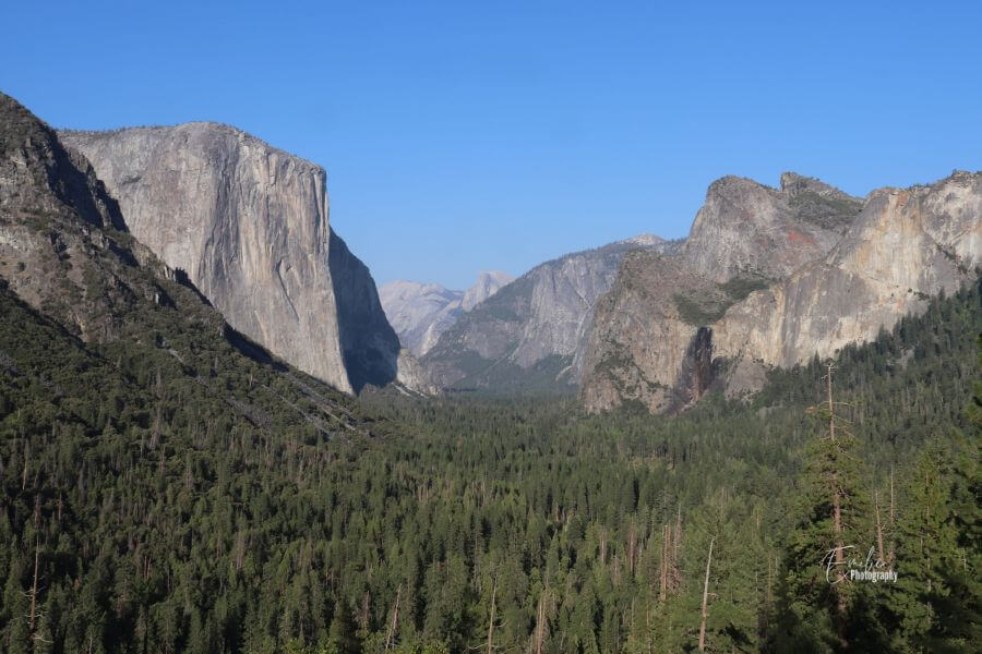The View from Tunnel View in Yosemite National Park