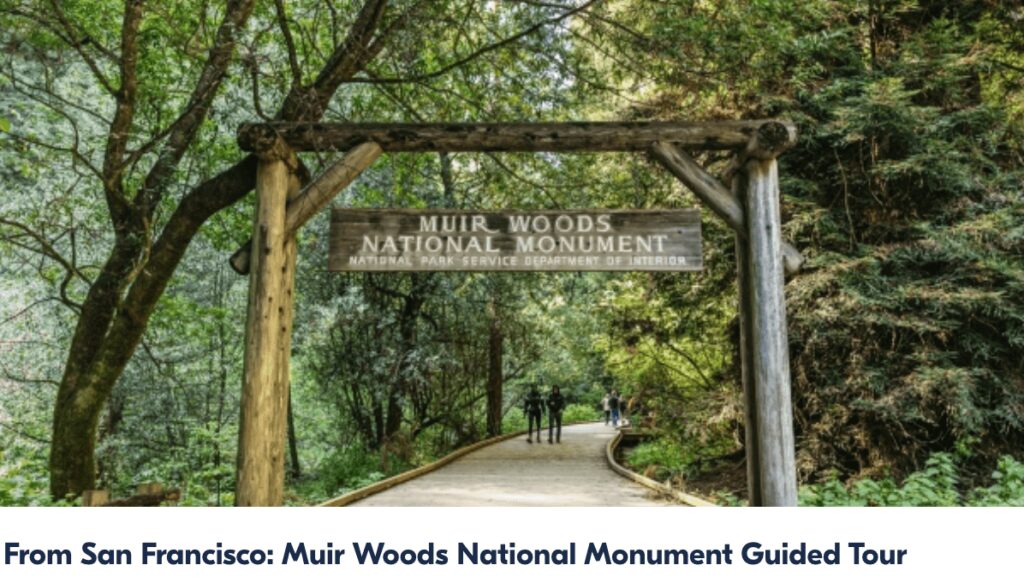 Muir Woods Guided Tour from Get Your Guide