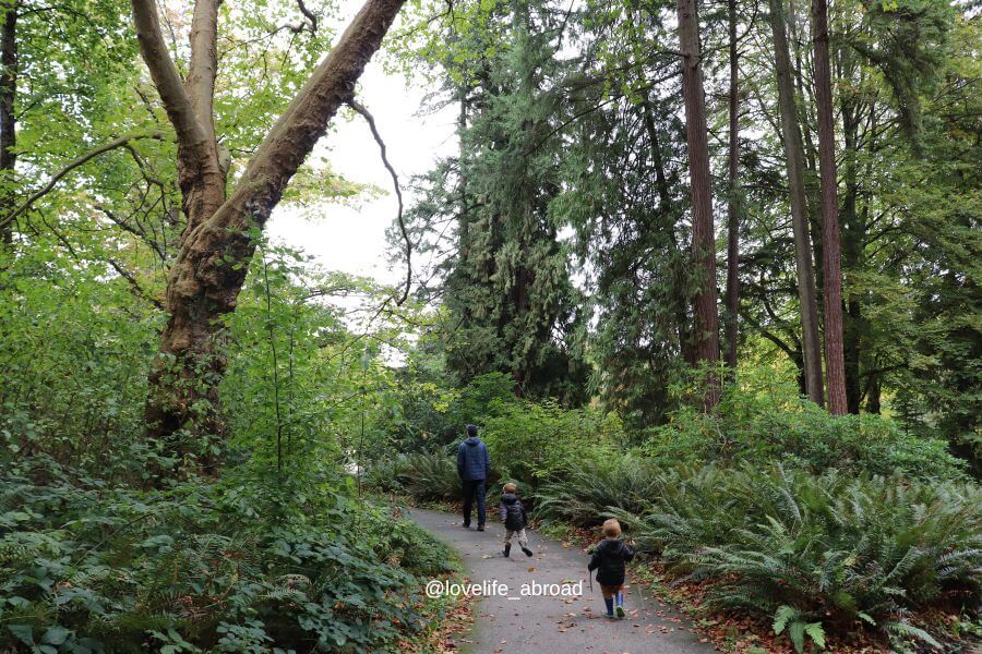 enjoying stanley park on one of the hiking trails