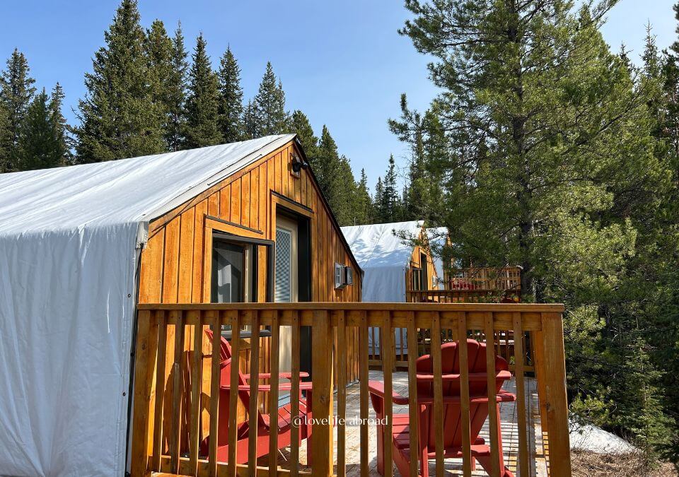 the glamping tents at Mt Engadine Lodge