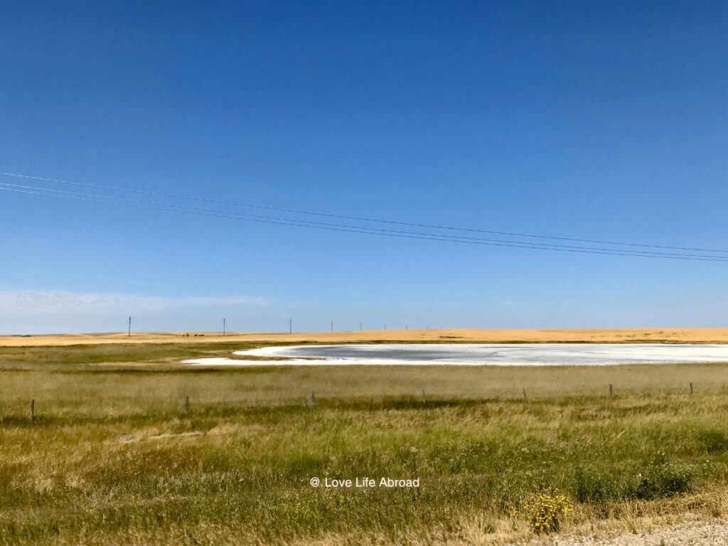One of the many salt lakes in Saskatchewan
