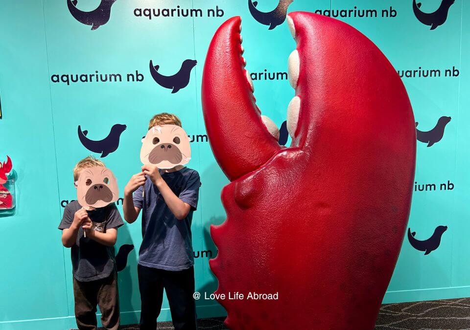 Having fun at the Aquarium NB