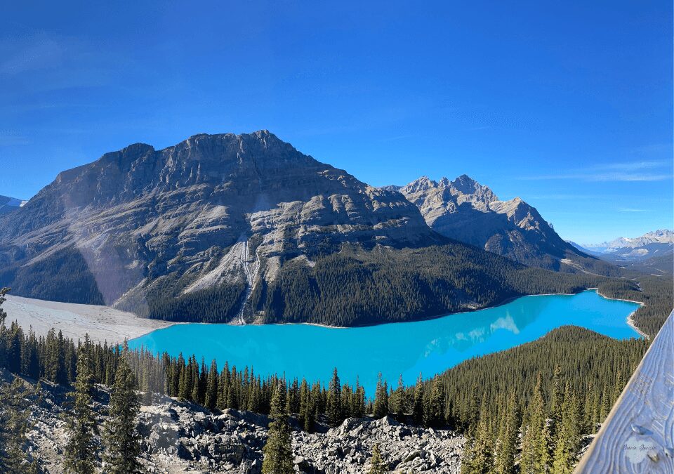 Peyto Lake in Banff National Park