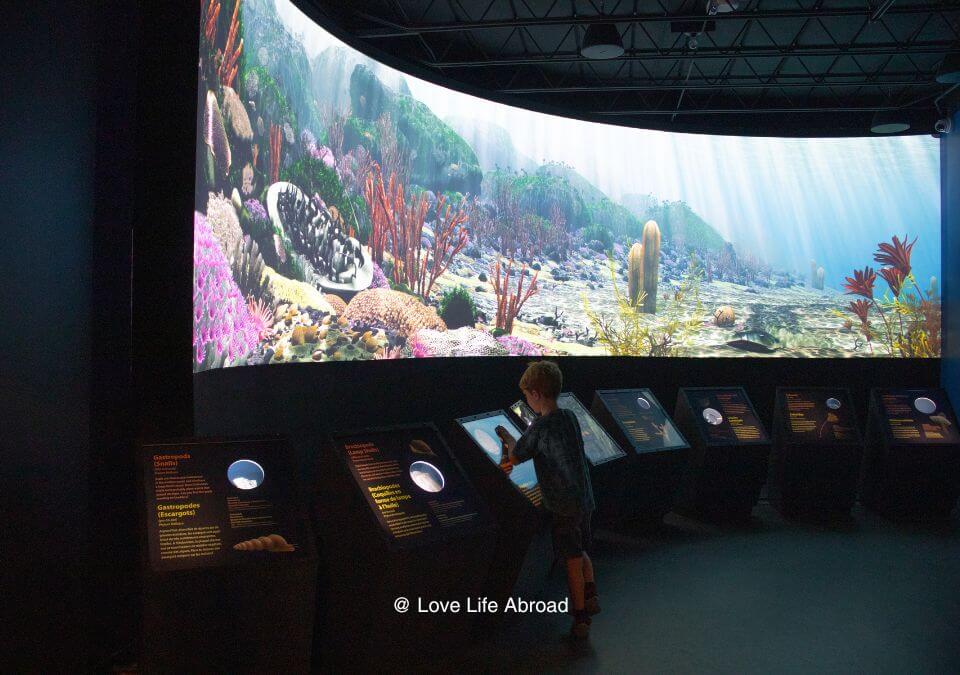 Interactive gallery on marine life at the Manitoba Museum in Winnipeg