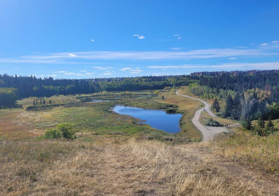 One of the manmade lakes at Fish Creek Provincial Park