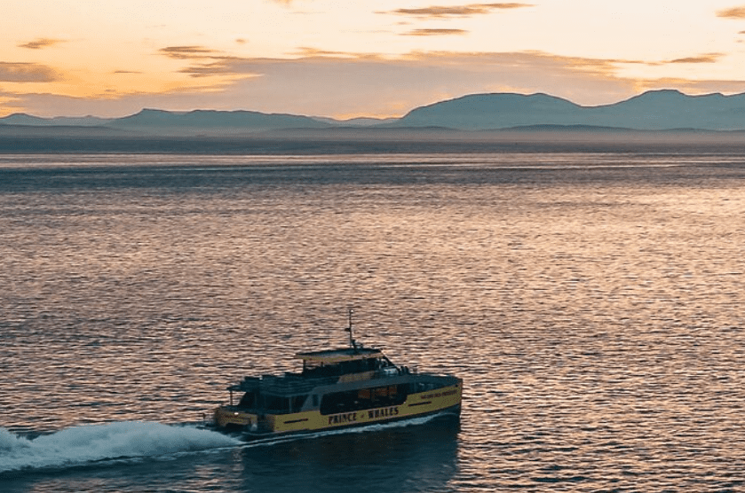 Chase the setting sun on a captivating sunset whale-watching adventure departing from Victoria. Witness the magic of twilight as you seek out majestic marine giants on this unforgettable excursion.