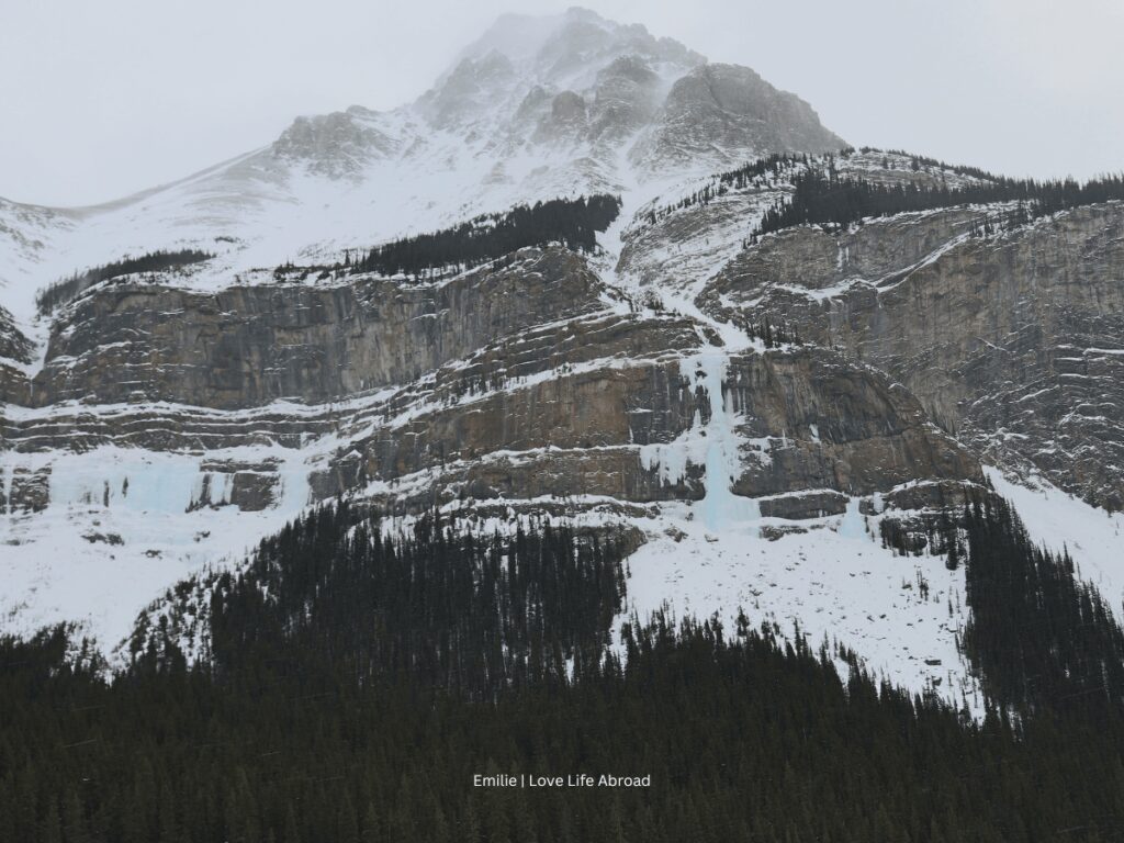 View of the Weeping Wall from the car on the Icefields Parkway