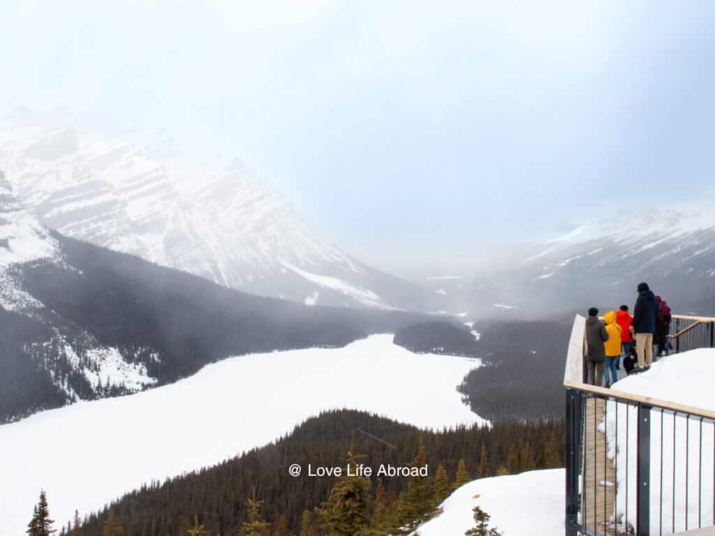 Admiring Peyto Lake from the viewpoint in the winter
