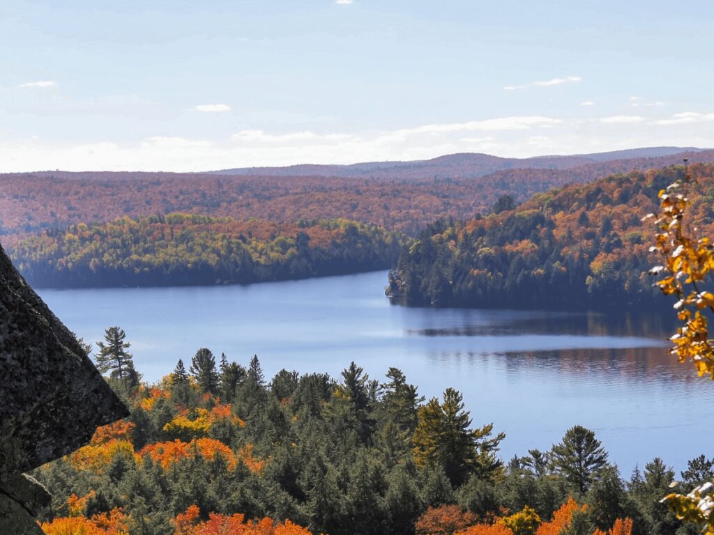 Algonquin Park in Ontario in the fall