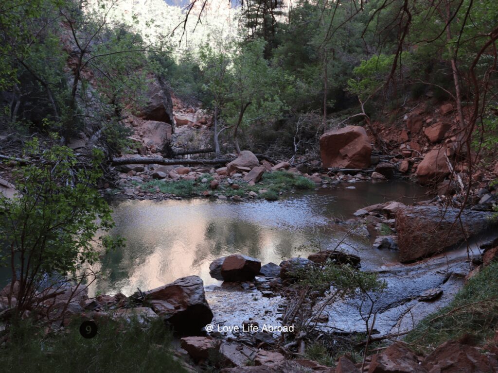 One of the best kid-friendly hikes in Zion is the Emerald Pools trail