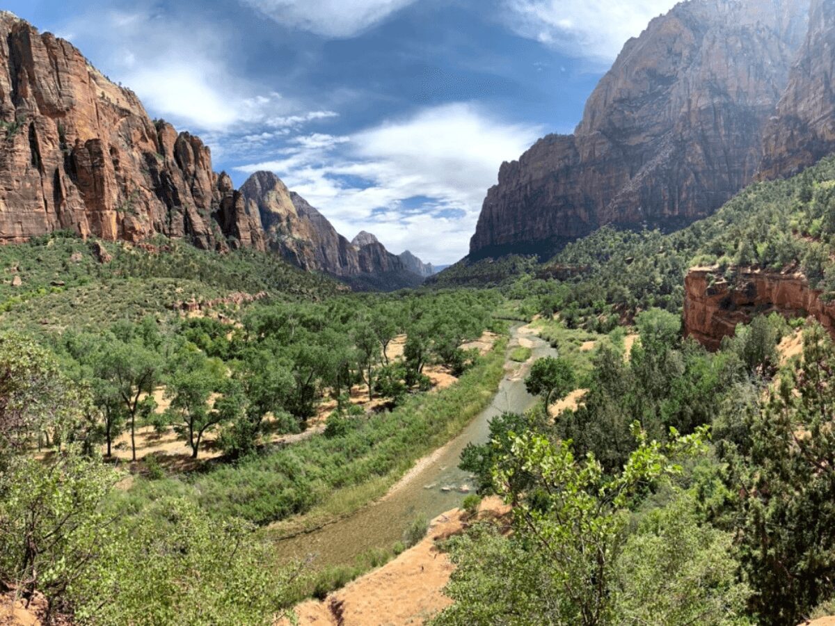 View on Zion National Park. Photo Credit: Minivan Bucket List