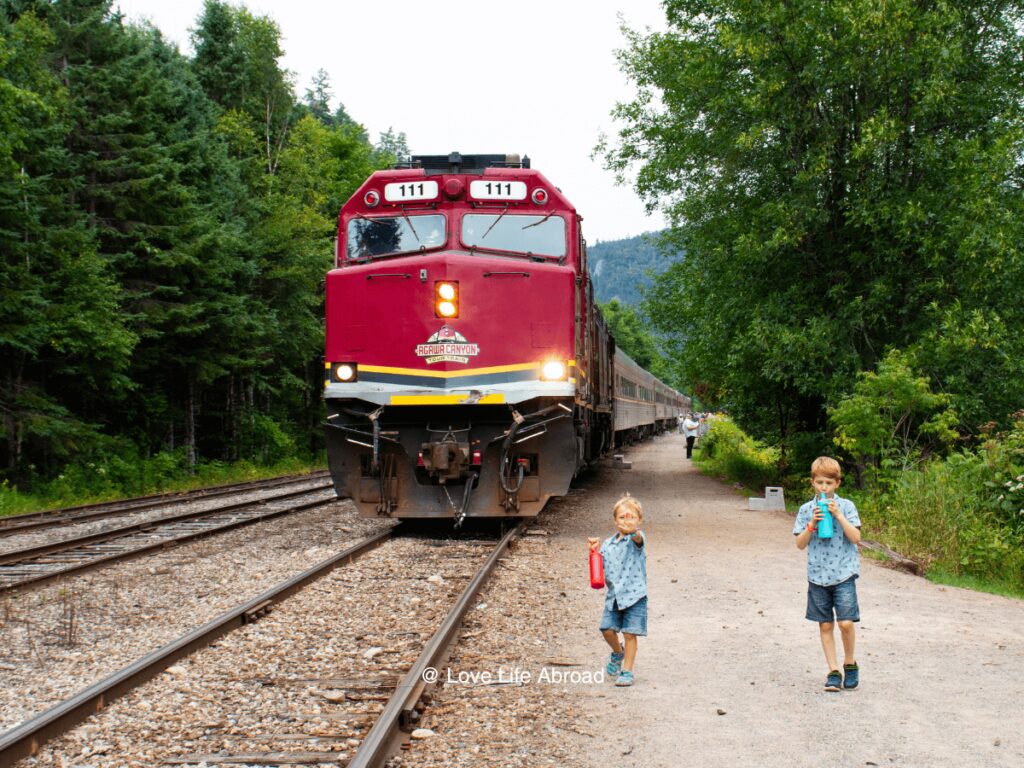 kids running next the to Agawa Canyon train