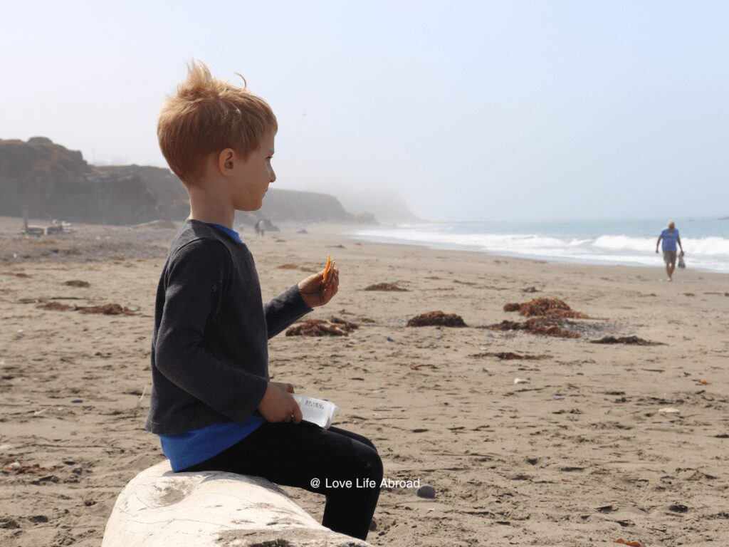 Nothing better than a late snack by the beach We enjoyed San Simeon beach It was quiet