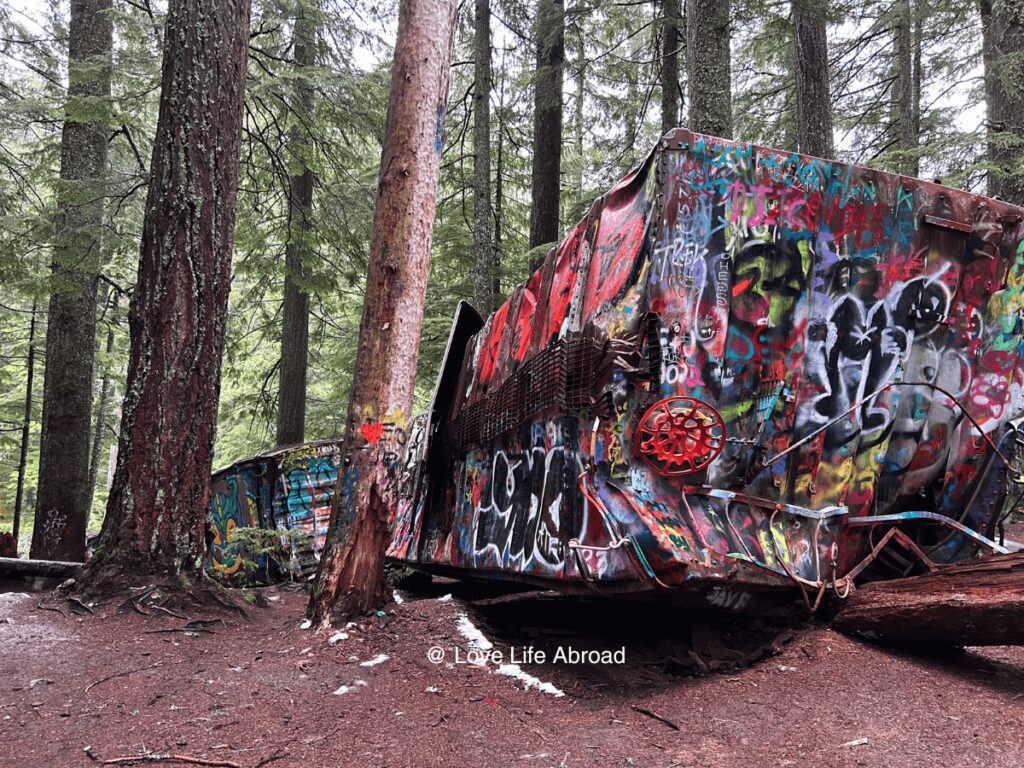 The Train Wreck Trail in Whistler