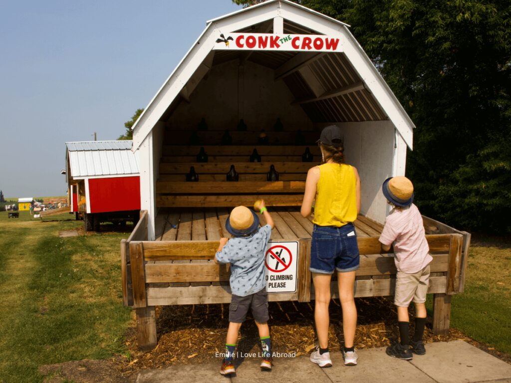 Throwing balls at the Conk the Crow game station